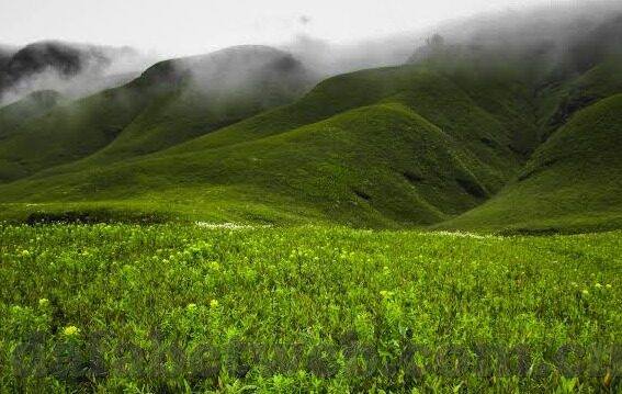 极速足球比分90 s-极速足球比分90s，绿茵场上的速度与激情交响曲