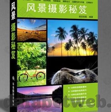 足球比分冷门-绿茵场上的冷门风暴，足球比分背后的不可预测之美