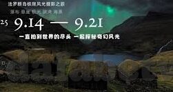 足球比分坐标-足球比分坐标，解码绿茵场上的数字密码